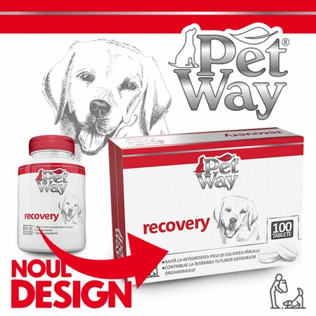 Petway Erholung - 100 Tabletten