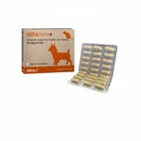 Nutravet NUTRAMARIN+ voor honden en katten, 60 tabletten