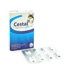 Cestal Plus dla psów - blister z 8 tabletkami: ceny i cechy
