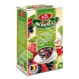 Tea Carpathian Fruits Aromafruit, 75 g, Fares