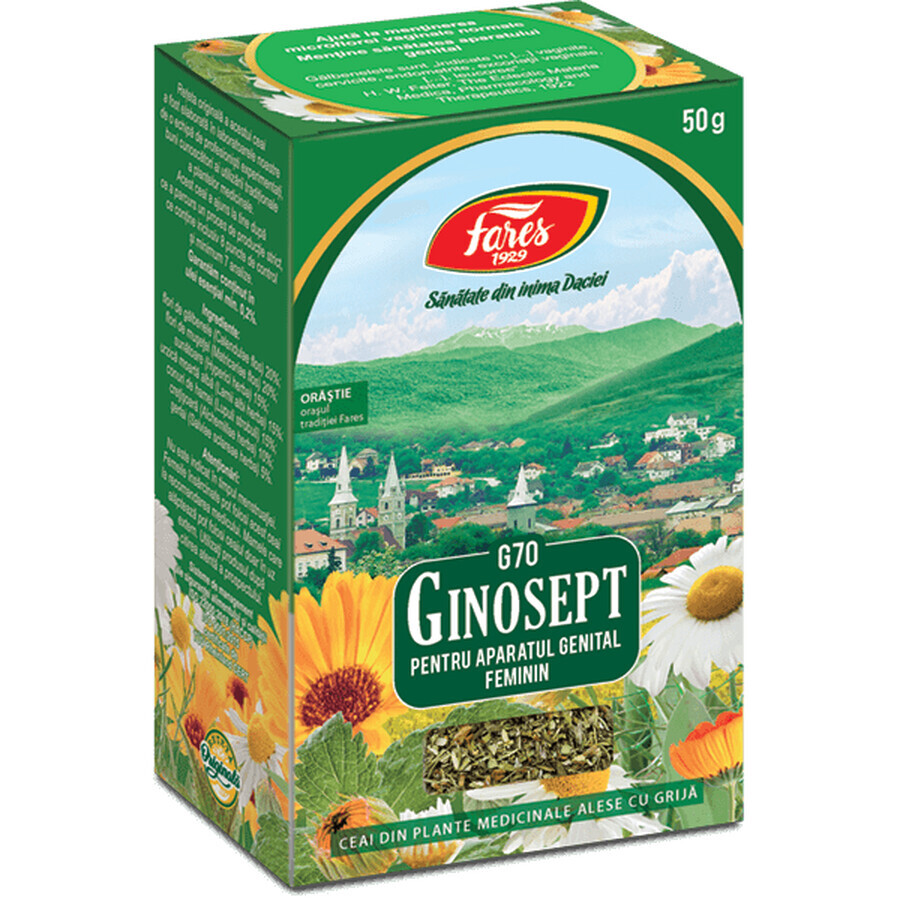 Thé Ginosept, G70, 50 g, Fares