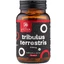 Tribulus Terrestris 500 mg - 90 gélules avec 90% de saponines pour la vitalité, la libido et les performances physiques