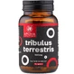 Tribulus Terrestris 500 mg - 90 gélules avec 90% de saponines pour la vitalité, la libido et les performances physiques