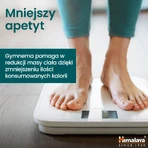 Himalaya Organic Gymnema set, 2 x 60 comprimidos
