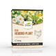 Hemoro-Plant Gezonde Colon Thee, 150 g, Dorel Plant