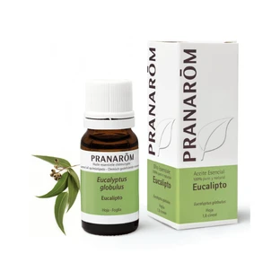 Pranarom Etherische Olie Eucalyptus Eucalyptus Globulus 10 ml, Eucalyptus Globulus ORGANIC
