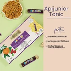 Apijunior Kinderimmuniteitstonic, 20 ampullen, Albina Carpatina