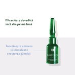 Tratamiento Anticaída Trifásico Reactivo, 12 ampollas x 5 ml, Rene Furterer