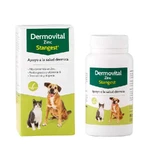 Stangest Dermovitaal Zink 60 Capsules