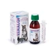 Renalof Pets Oral Solution Alimentaire Complémentaire Troubles Rénaux , 150 ml