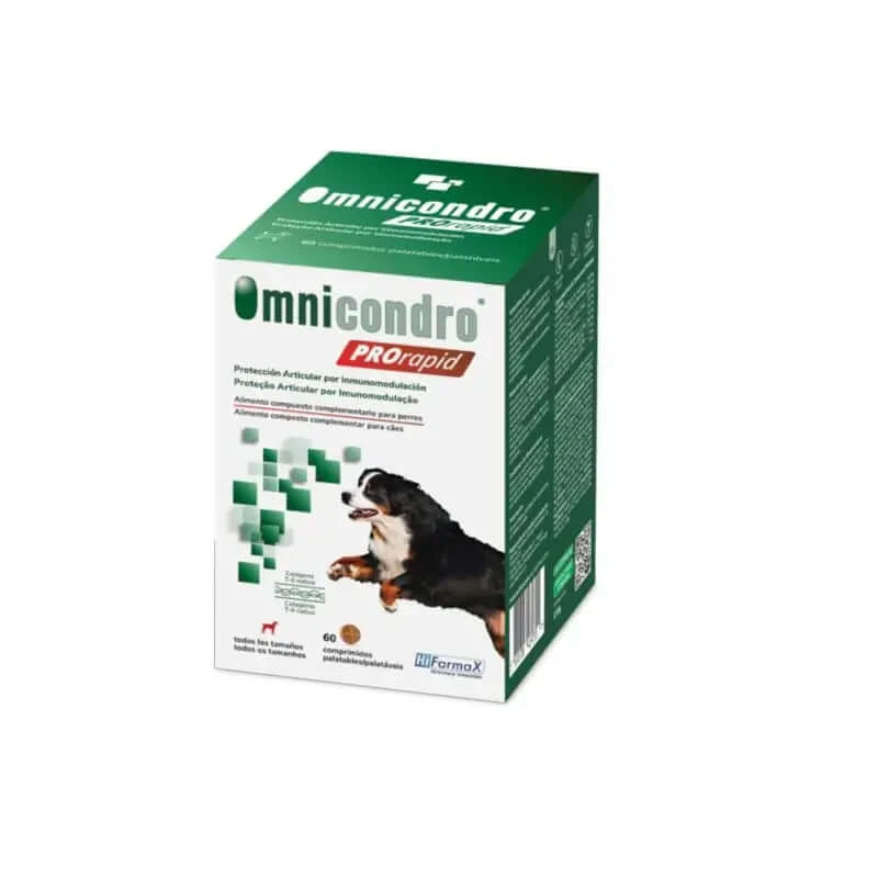 Omnicondro Prorapid, 60 tabletten