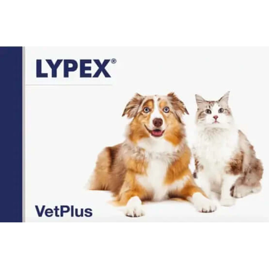 Lypex honden en katten, 60 capsules