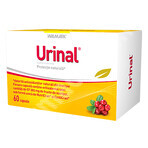 Idelyn Urinal, 60 capsules, Walmark