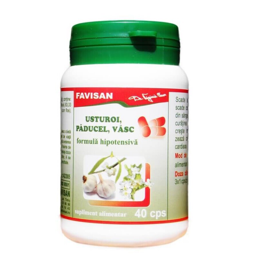 Garlic with hawthorn and vasc, 40 capsules, Favisan