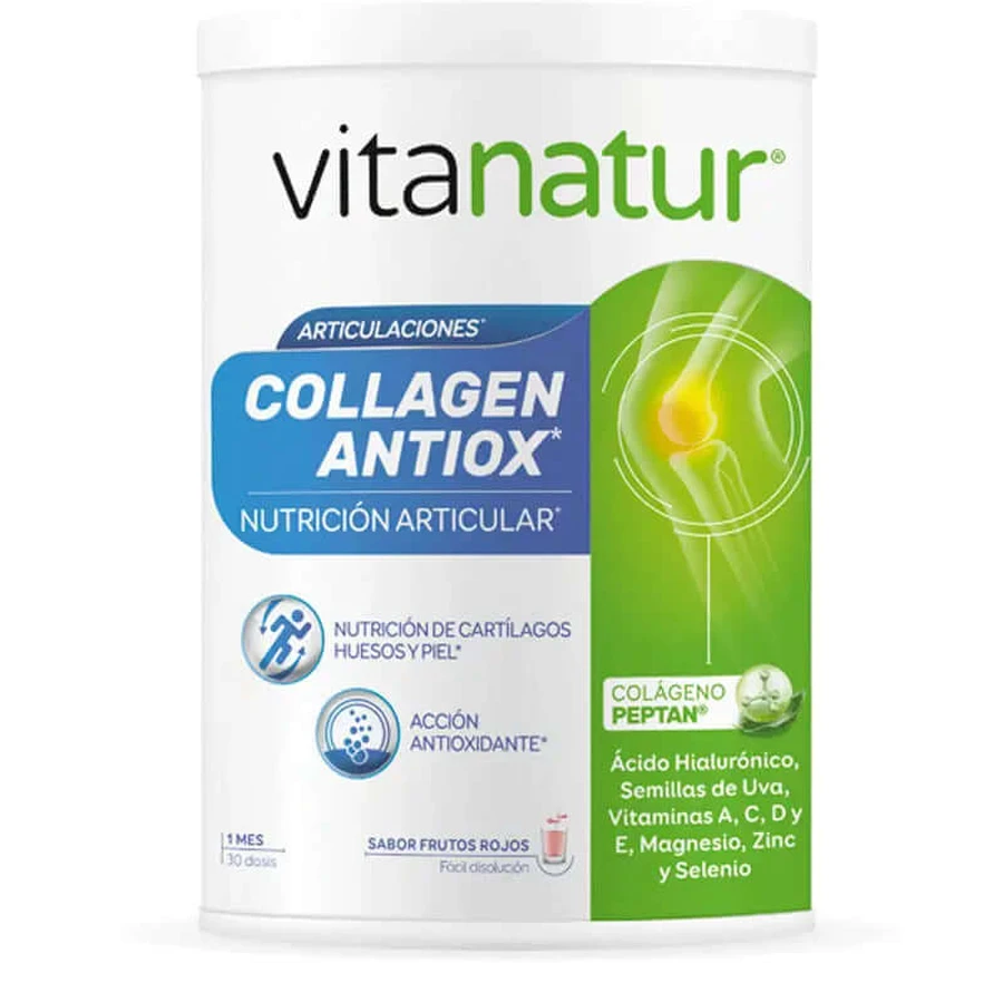 Vitanatur Kollagen Antiox Plus 360 g