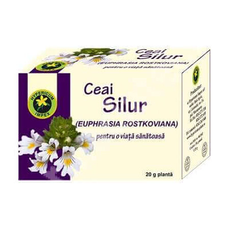 Thé Silur, 20 g, Hypericum