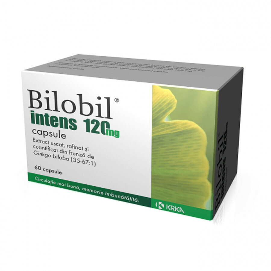 Bilobil Intens 120 mg, 60 capsules, Krka