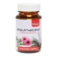 Artesania Echinacea 50 Tabletten von Master Herbarium