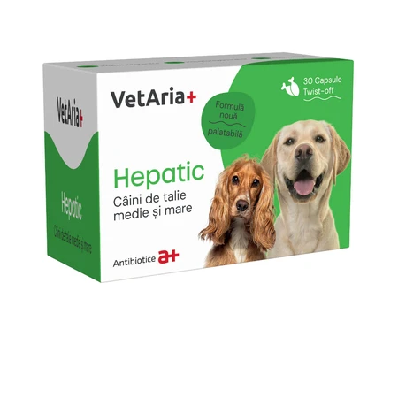VETARIA+ Hepatic für mittelgroße und große Hunde, M-XL, Lebersystemergänzung für Hunde, Huhn, Schachtel, 30 Kapseln