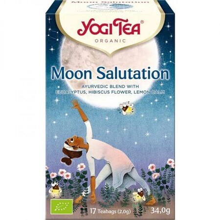 Té de la Luna Ecológico, 17 bolsitas, Yogi Tea