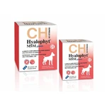 CHEMICAL IBERICA Hyalophyt MSM Giants, L-XL, joint system supplement for dogs, box, 30 tablets