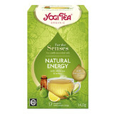 Natural Energy For the Senses Organic Tea with Essential Oils, 17 sachets, Yogi Tea