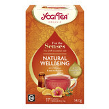 Natural Wellbeing For the Senses organic tea with essential oils, 17 sachets, Yogi Tea