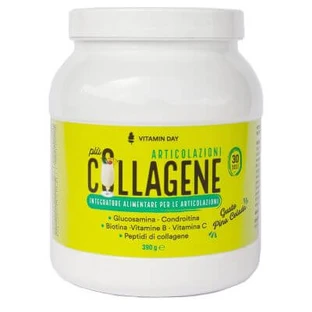 Vitamine dag collageen gewrichten 390 g