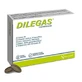 Dilegas tabletten 30 tabletten