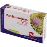 Milk thistle forte 60 tablets