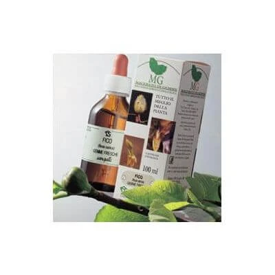 Sequoia glycerine maceraat 100 ml