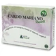 Cardo mariano benoit 60 comprimidos 500 mg