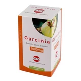 Garcinia 1000mg 60 tabletten
