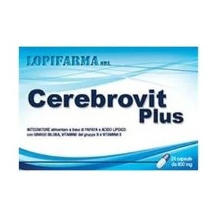 Cerebrovit plus 24 kapsułki