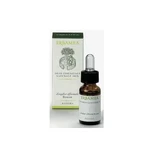 Essentiële olie van zoete venkel 10 ml