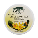 Cream with earth butter and tattaneasa, 50 ml, Ceta Sibiu