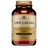 Lipo Choline 100 vegetarische Kapseln