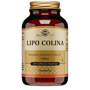 Lipo Choline 100 gélules végétales