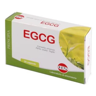 Egcg té verde 30 cápsulas nueva fórmula