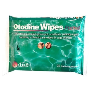 Otodine Taschentücher 20 Stück