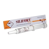 Silifort Knochenpaste Spritze 30 g