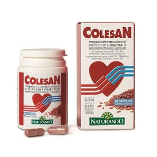 Colesan 60 Kapseln