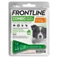 Frontline combo*1pip 2-10kg ca