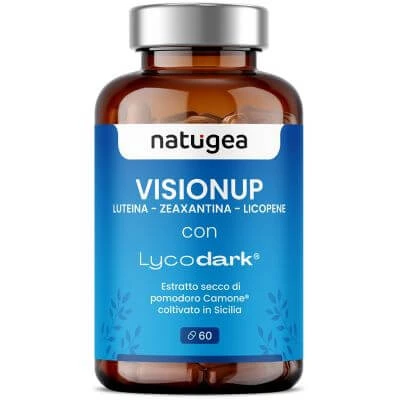 Visionup 60 tabletten