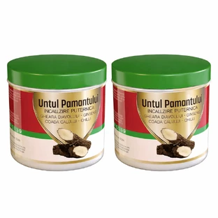 Praemium Aards Boter Massage Gel, 2x275 ml, Praemium
