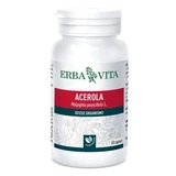 Acerola 60 Kapseln 550 mg