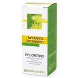 Glycerine-maceraat van paardenkastanjeknop 50 ml