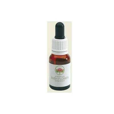 Spinifex australisch 15 ml druppels