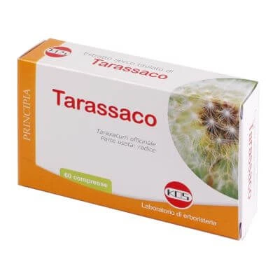 Paardenbloem droog extract getitreerd 60 tabletten