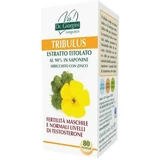 Tribulus getitreerd extract 80 tabletten